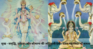 सुख – समृद्धि, उर्वरता, और सौभाग्य की अधिष्ठात्री देवी : दशम महाविद्या माँ कमला